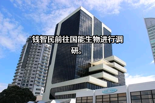 国家能源投资集团有限责任公司