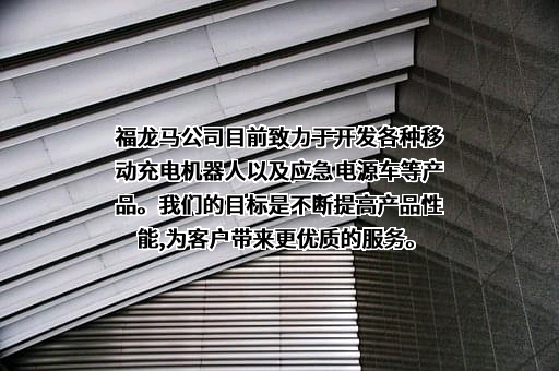 福龙马集团股份有限公司