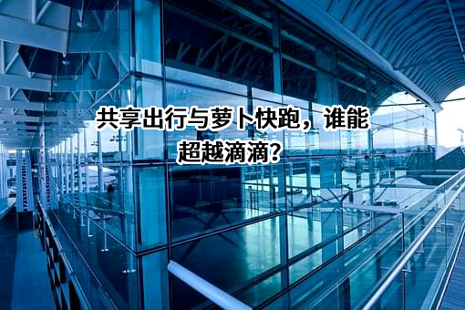 北京畅行信息技术有限公司