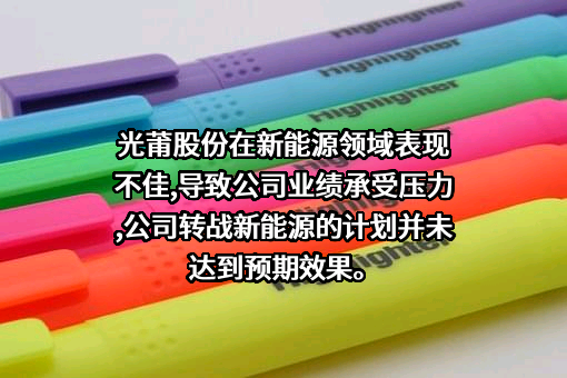 厦门光莆电子股份有限公司