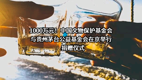 中国文物保护基金会