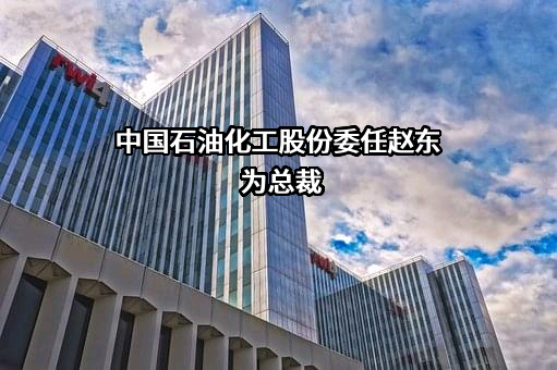 中国石油化工股份有限公司