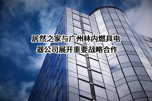 广州林内燃具电器有限公司