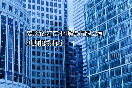安庆依江产业投资有限公司