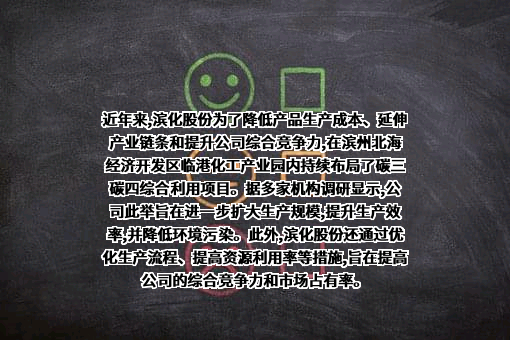 滨化集团股份有限公司