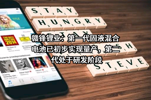 江西赣锋锂业股份有限公司
