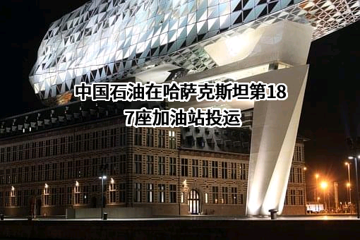 中国石油天然气股份有限公司