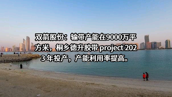 浙江双箭橡胶股份有限公司