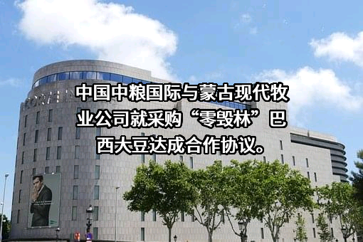 中粮国际仓储运输公司