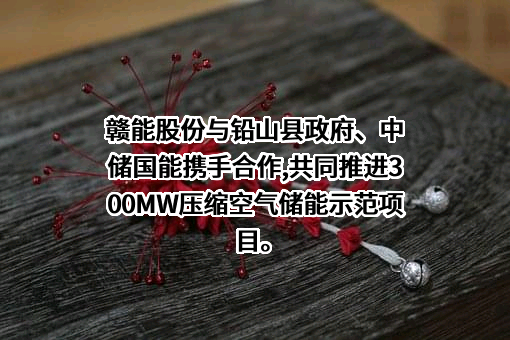 江西赣能股份有限公司