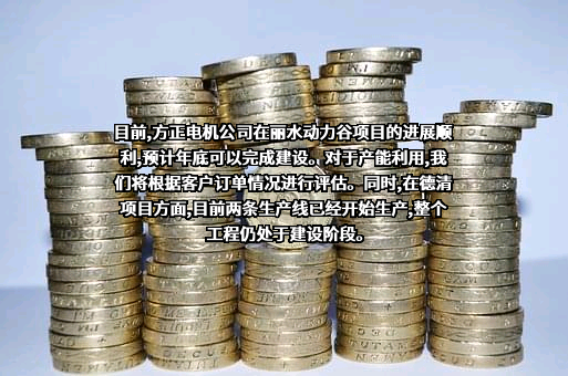 浙江方正电机股份有限公司