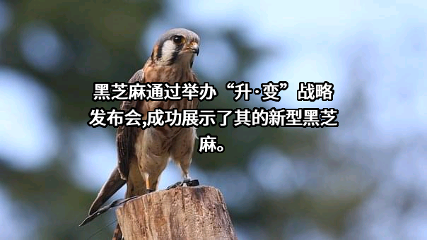 南方黑芝麻集团股份有限公司