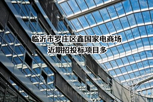 临沂市罗庄区鑫国家电商场