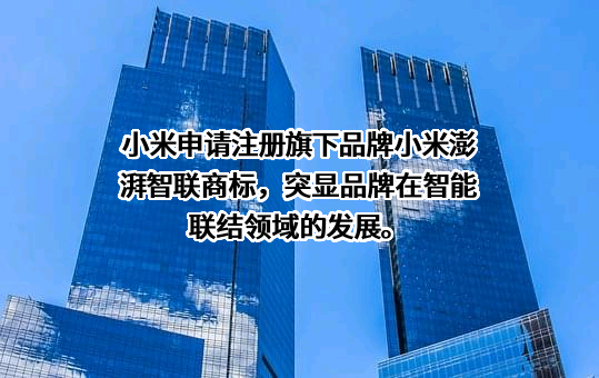 小米科技有限责任公司
