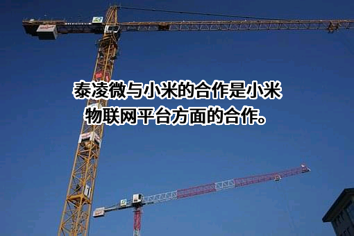 小米科技有限责任公司