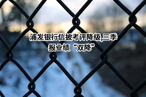 上海浦东发展银行股份有限公司