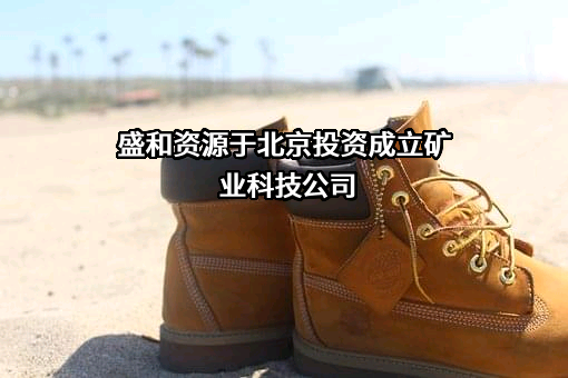 盛和资源控股股份有限公司