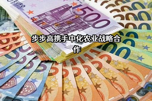 中化现代农业有限公司