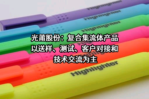 厦门光莆电子股份有限公司