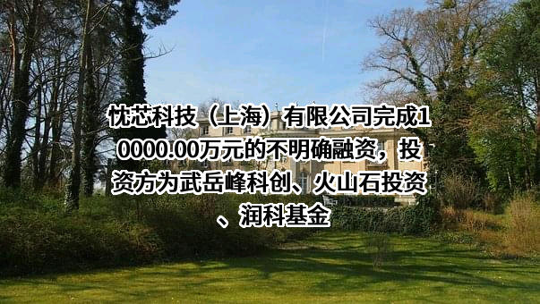 忱芯科技（上海）有限公司
