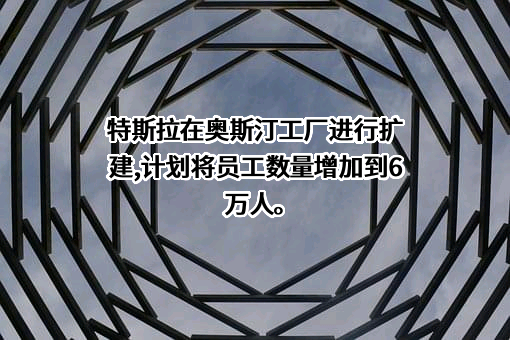 特斯拉（上海）有限公司