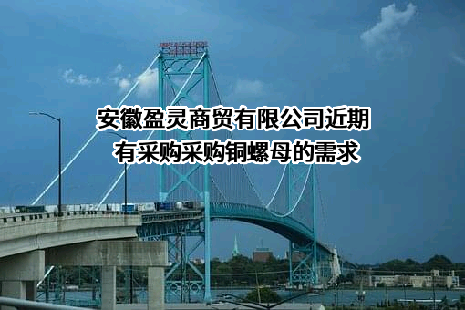 安徽盈灵商贸有限公司近期有采购采购铜螺母的需求