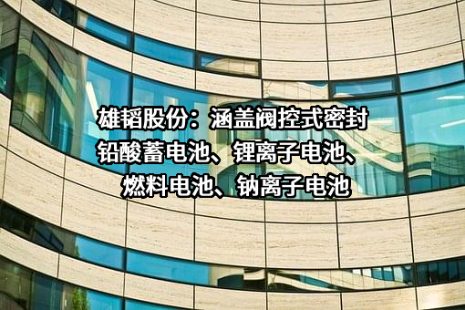 深圳市雄韬电源科技股份有限公司