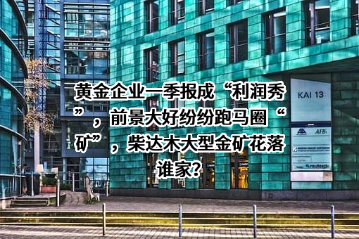 青海大柴旦矿业有限公司