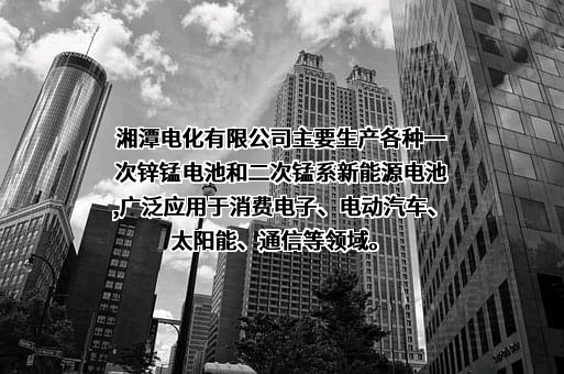 湘潭电化科技股份有限公司