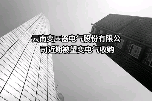 云南变压器电气股份有限公司近期被望变电气收购