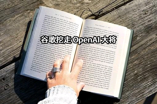 谷歌信息技术（中国）有限公司