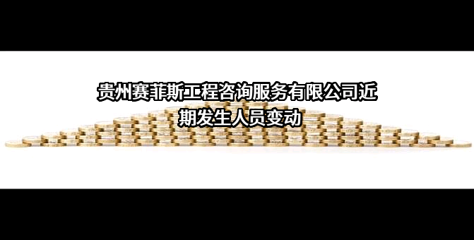 贵州赛菲斯工程咨询服务有限公司