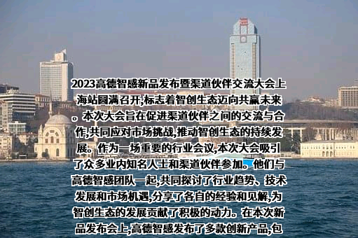 高德软件有限公司