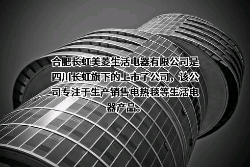 合肥长虹美菱生活电器有限公司