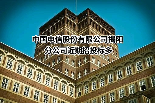 中国电信股份有限公司揭阳分公司
