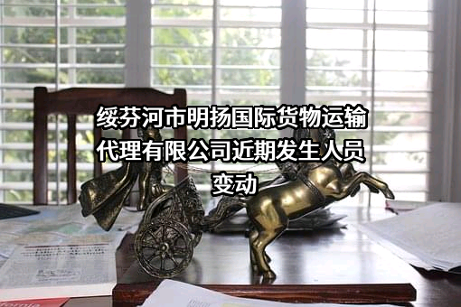 绥芬河市明扬国际货物运输代理有限公司