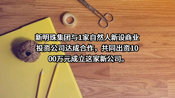 新明珠集团股份有限公司