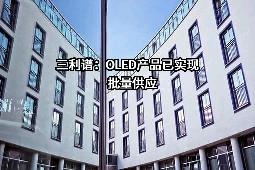 深圳市三利谱光电科技股份有限公司