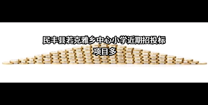 民丰县若克雅乡中心小学近期招投标项目多