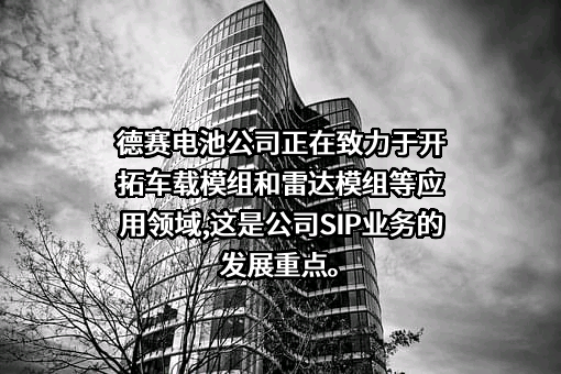 深圳市德赛电池科技股份有限公司