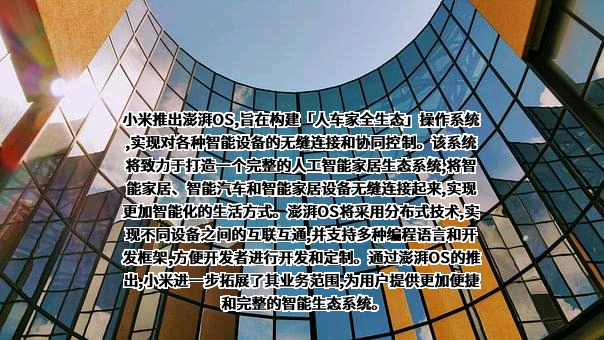 小米科技有限责任公司