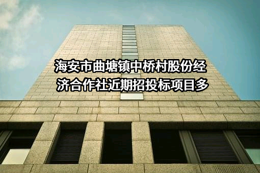 海安市曲塘镇中桥村股份经济合作社