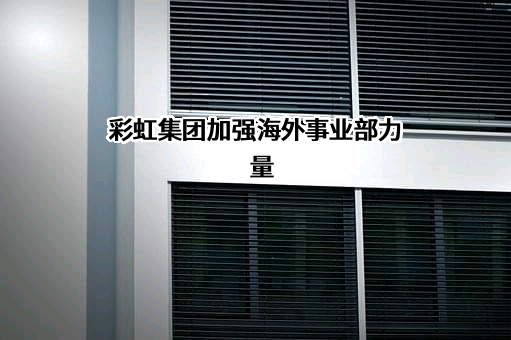 成都彩虹电器(集团)股份有限公司