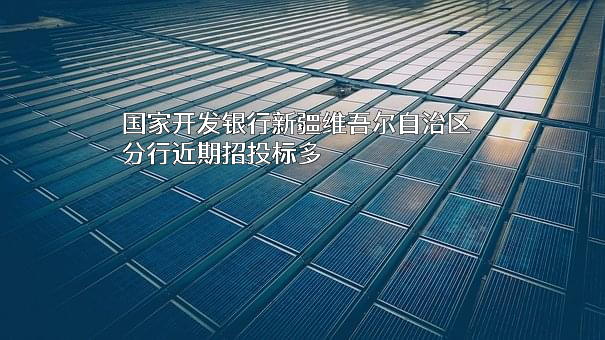 国家开发银行新疆维吾尔自治区分行