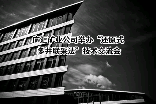 广汇矿业公司举办“还原式多井联采法”技术交流会