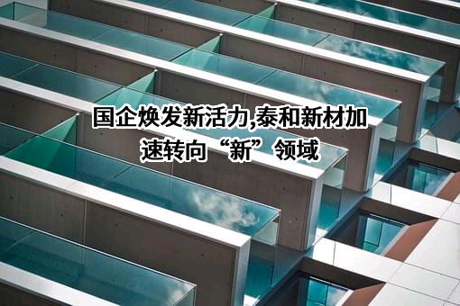 泰和新材集团股份有限公司