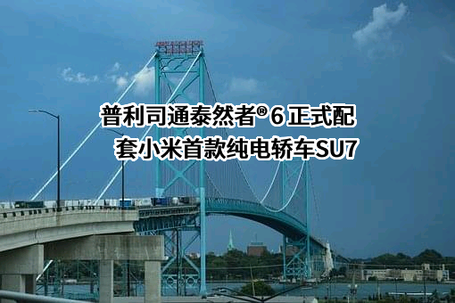 普利司通（中国）投资有限公司