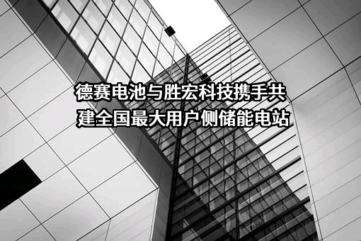 胜宏科技（惠州）股份有限公司