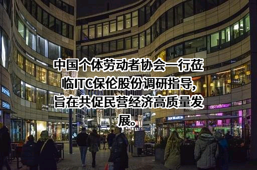 中国个体劳动者协会