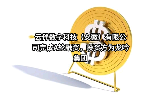 云伴数字科技（安徽）有限公司